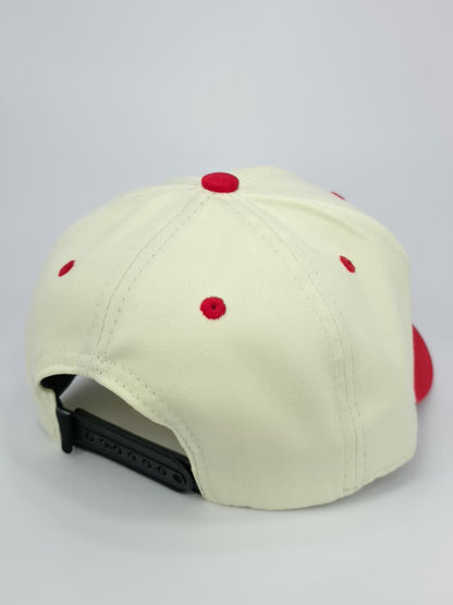 BOSTON RED SOX