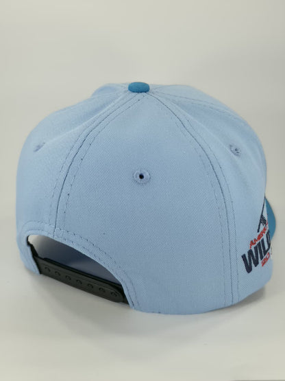 BOSTON RED SOX