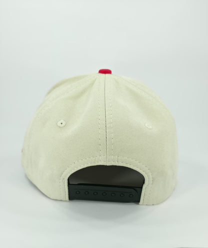 CHICAGO CUBS