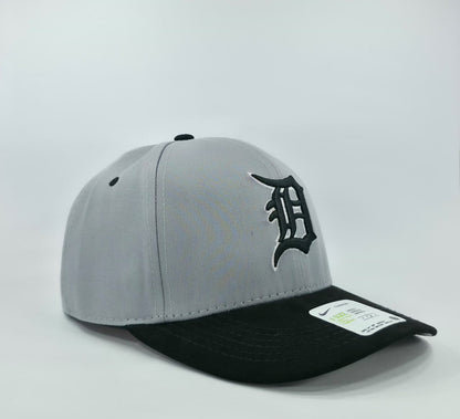 DETROIT TIGERS